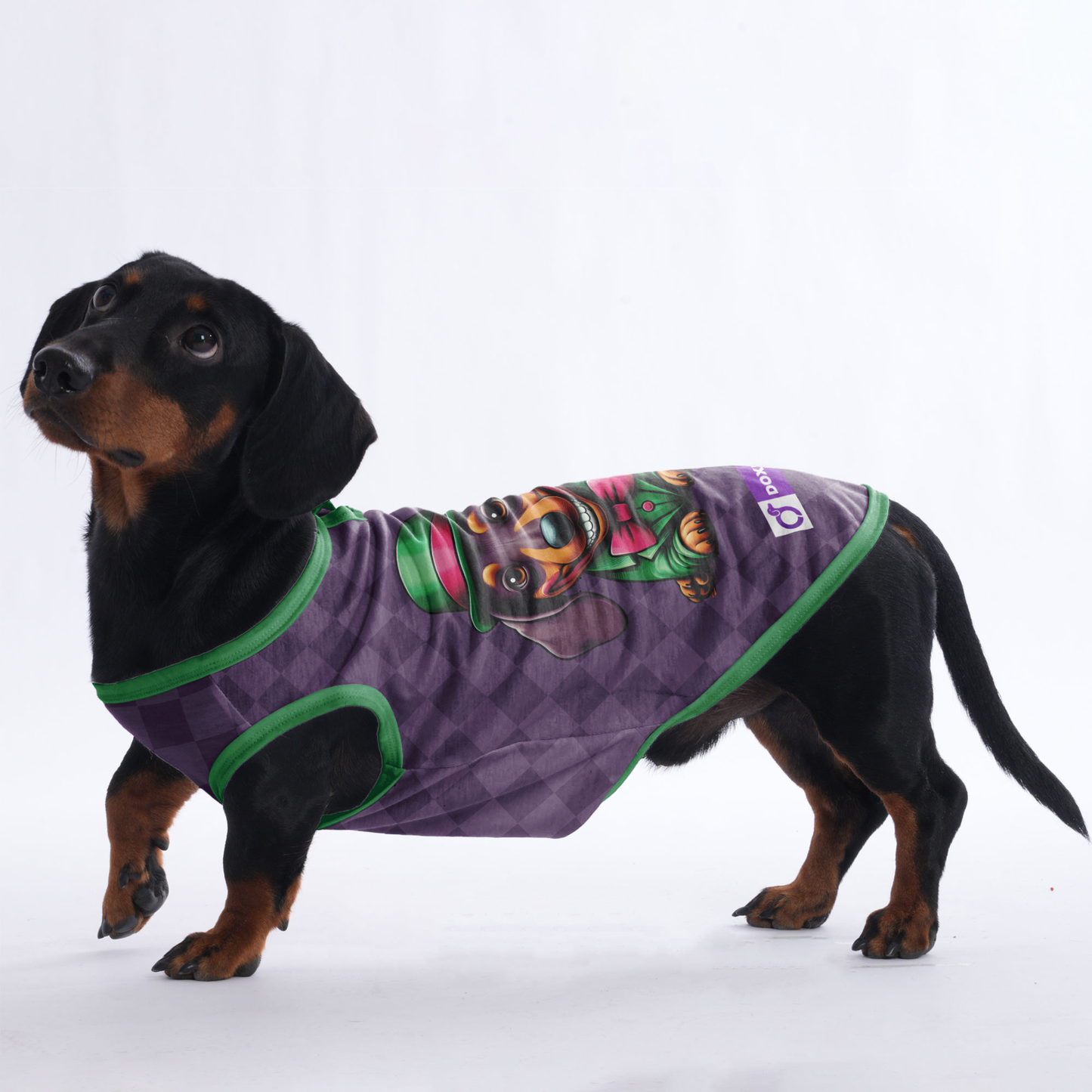 Pickle -  Shirt for Dachshunds