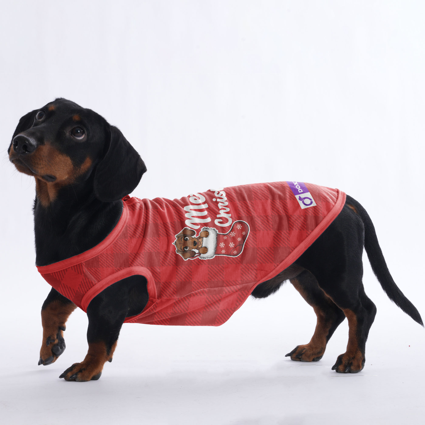 Merry Christmas -  Shirt for Dachshunds