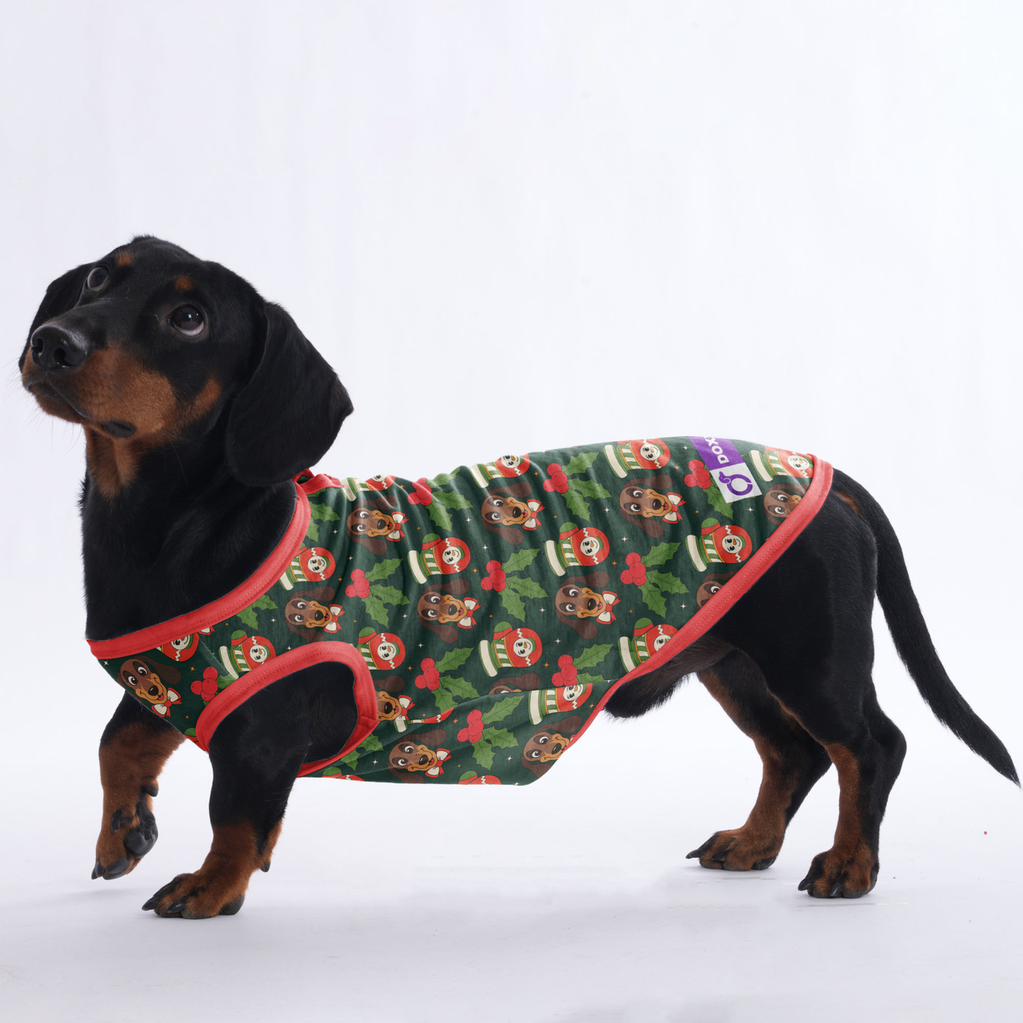 Dexter  -  Shirt for Dachshunds