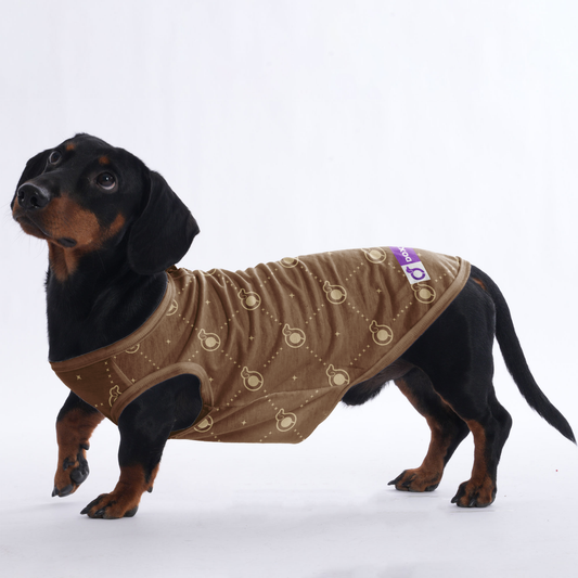 Harris  -  Shirt for Dachshunds