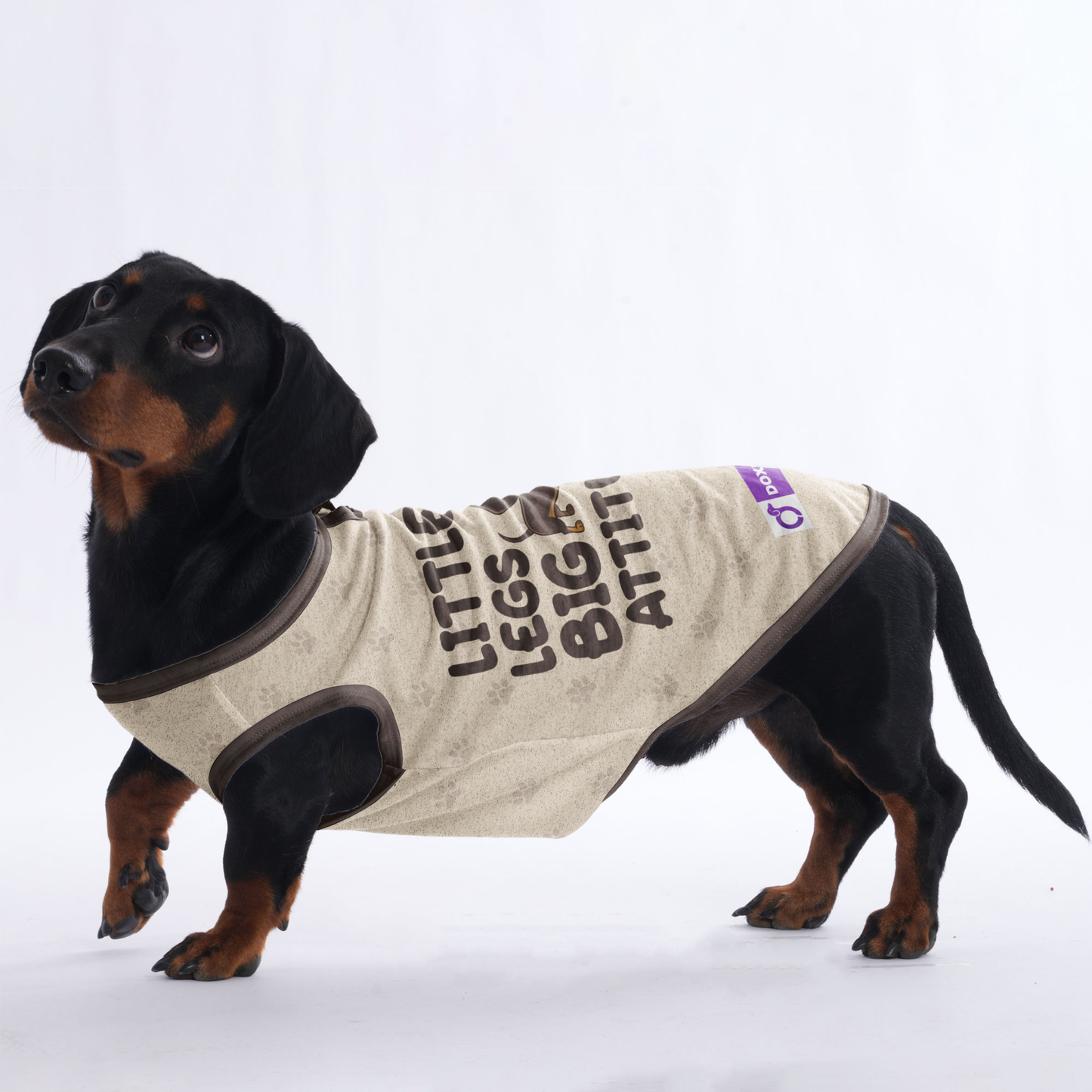 LITTLE LEGS BIG ATTITUDE  -  Shirt for Dachshunds