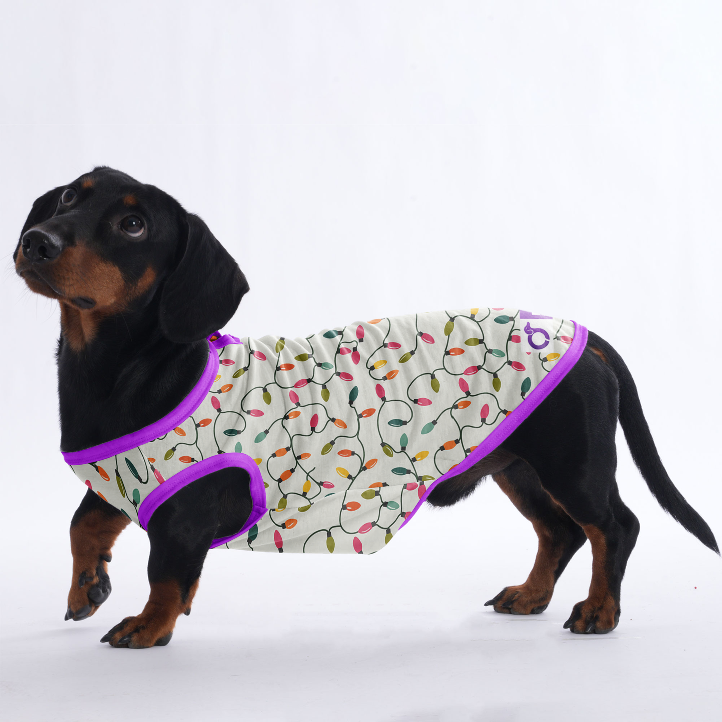 Rocky -  Shirt for Dachshunds