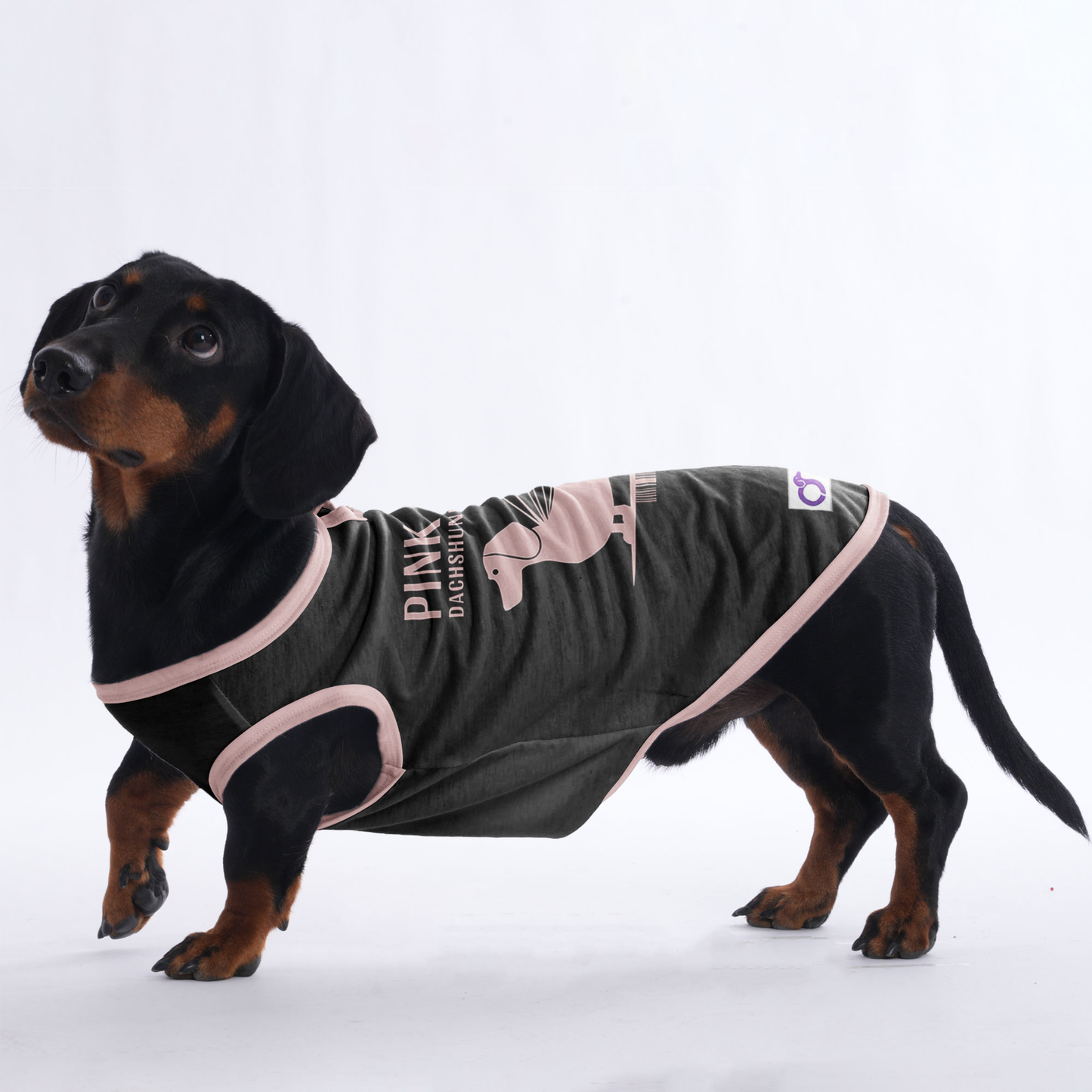 Chloe -  Shirt for Dachshunds