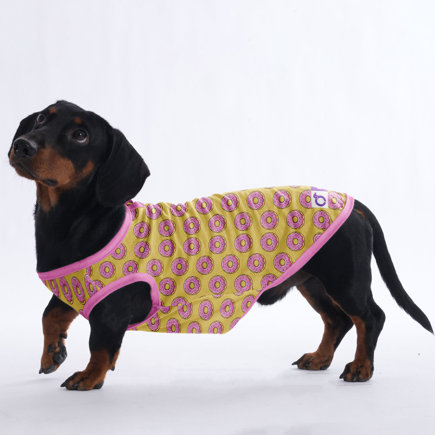 Lily -  Shirt for Dachshunds