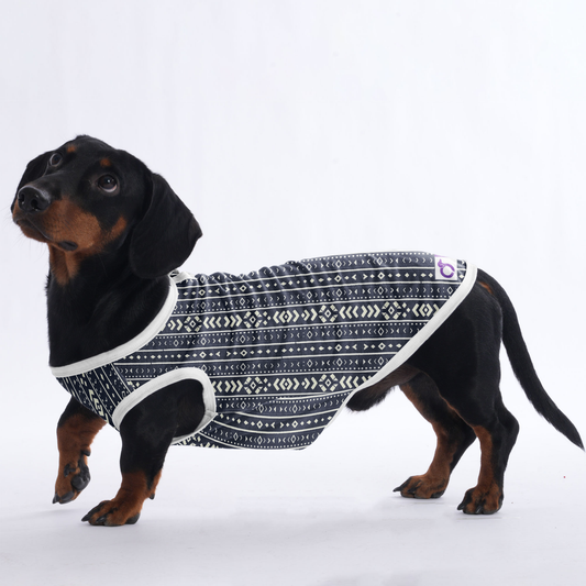 Ellie -  Shirt for Dachshunds