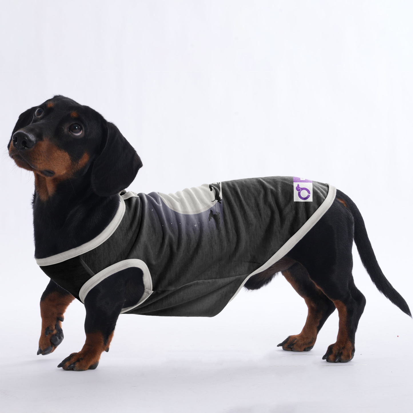 Abby -  Shirt for Dachshunds