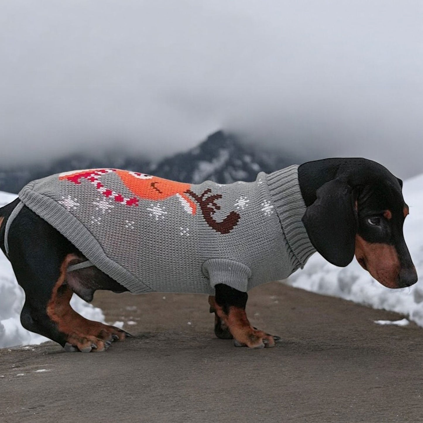 Luxury Dachshund Wool Sweater Christmas Costume