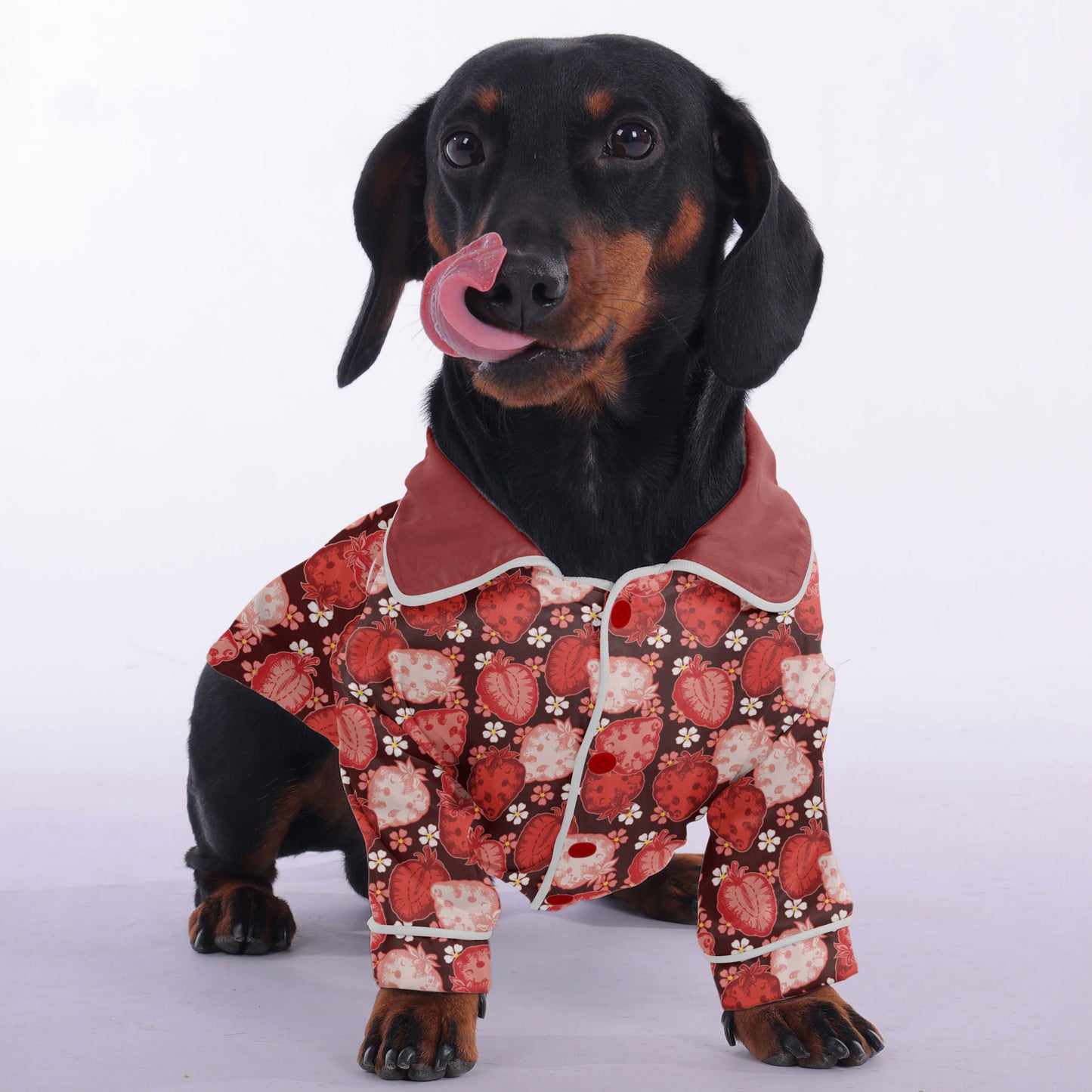 Coco -  Pajamas for Dachshund