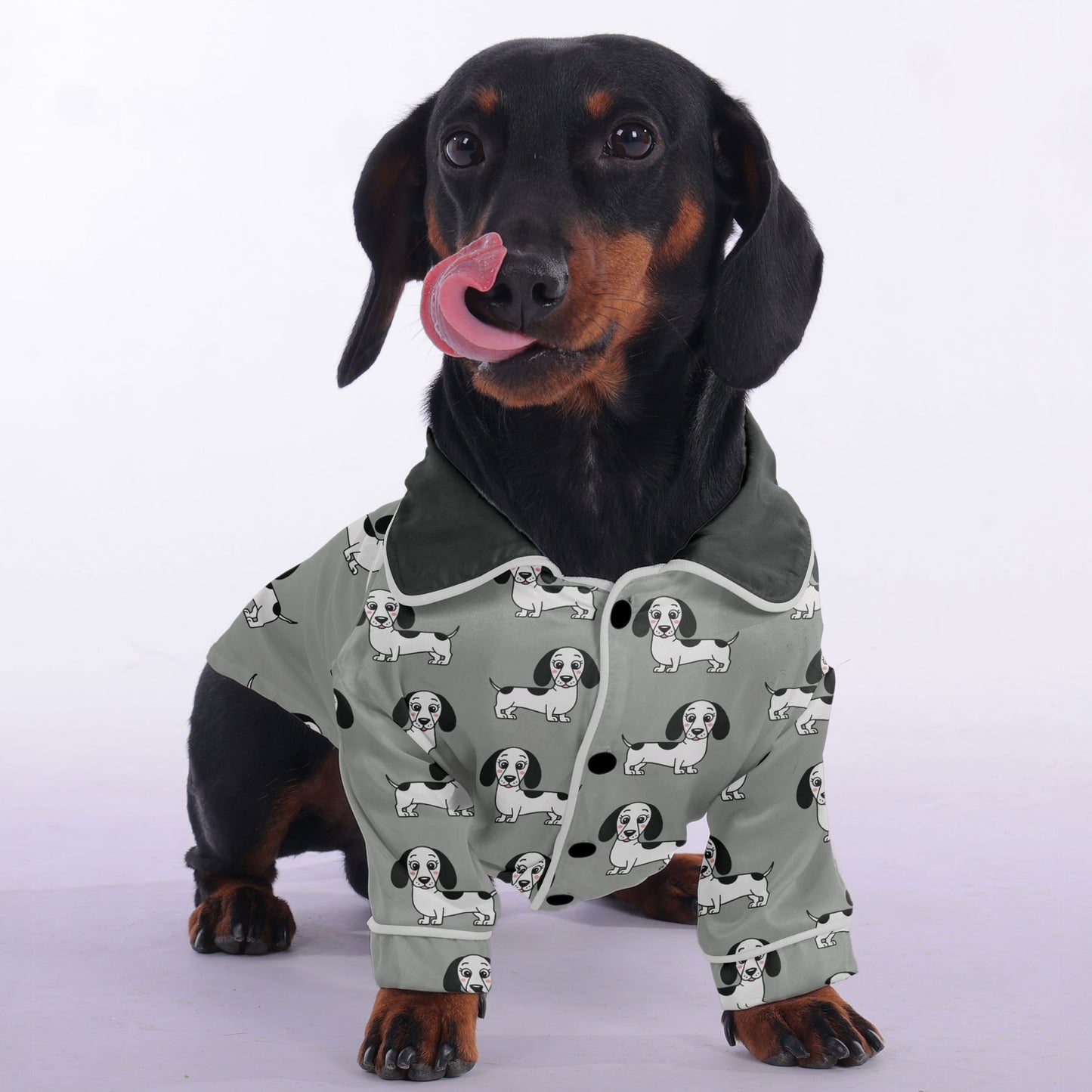 Sebastian -  Pajamas for Dachshund