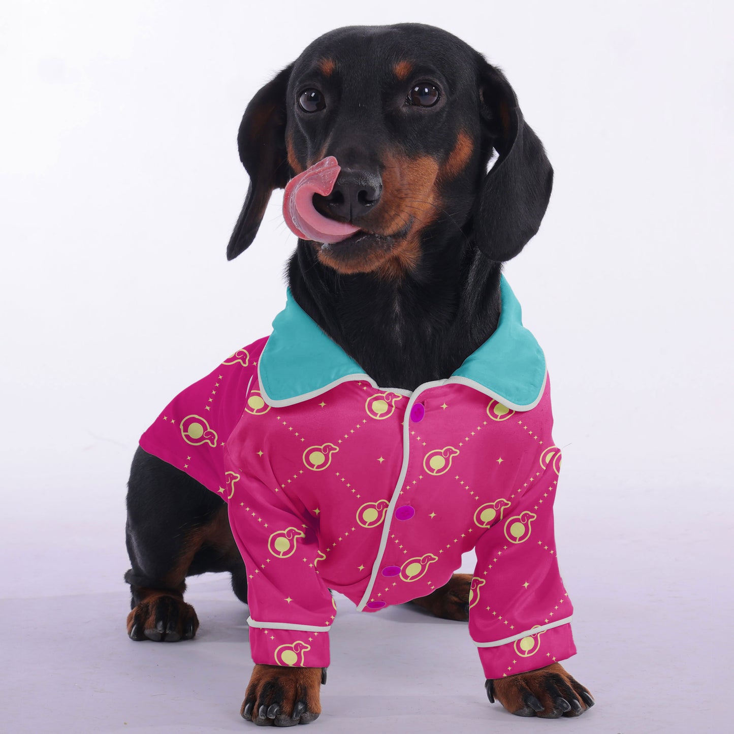 Angel  -  Pajamas for Dachshund