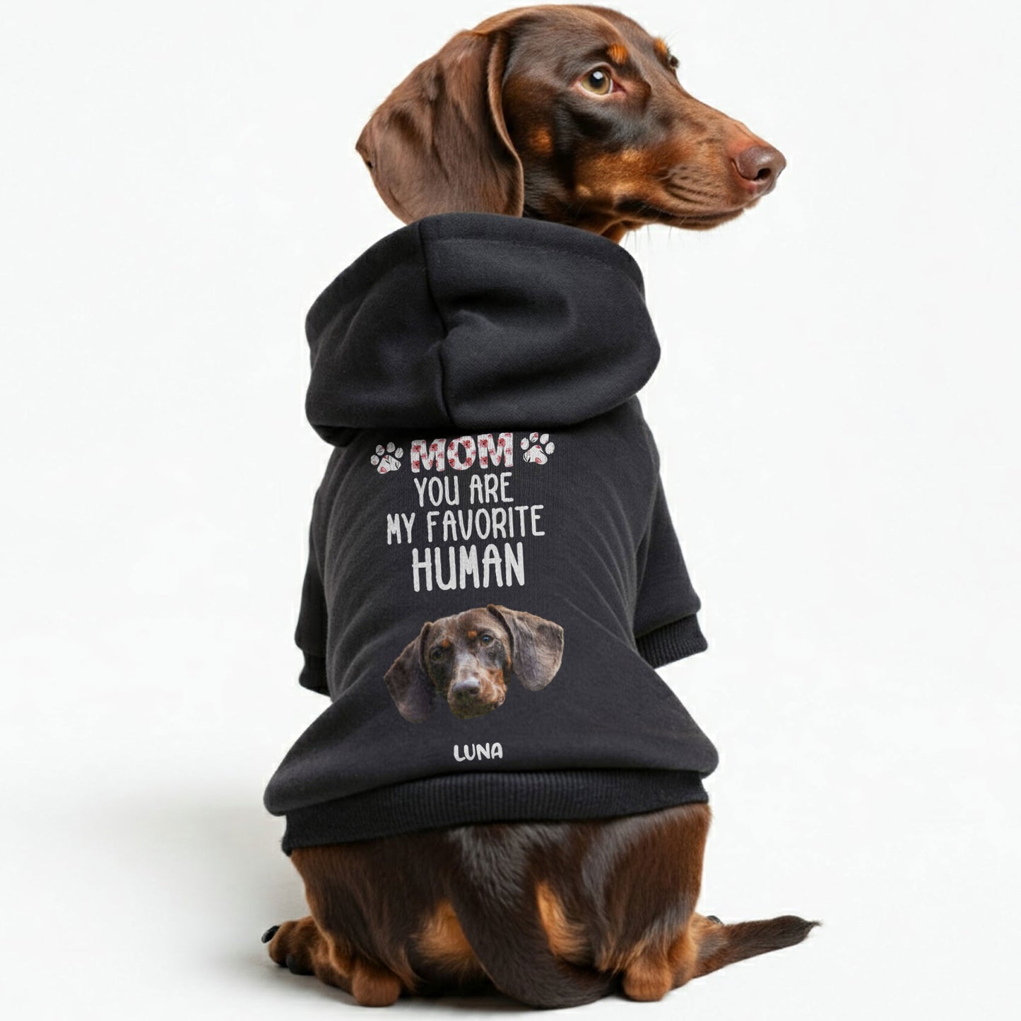 Favorite Human – Personalized Dachshund Hoodies with Your Doxie’s Name & Photo – Stylish, Cozy & Made from Premium 100% Cotton
