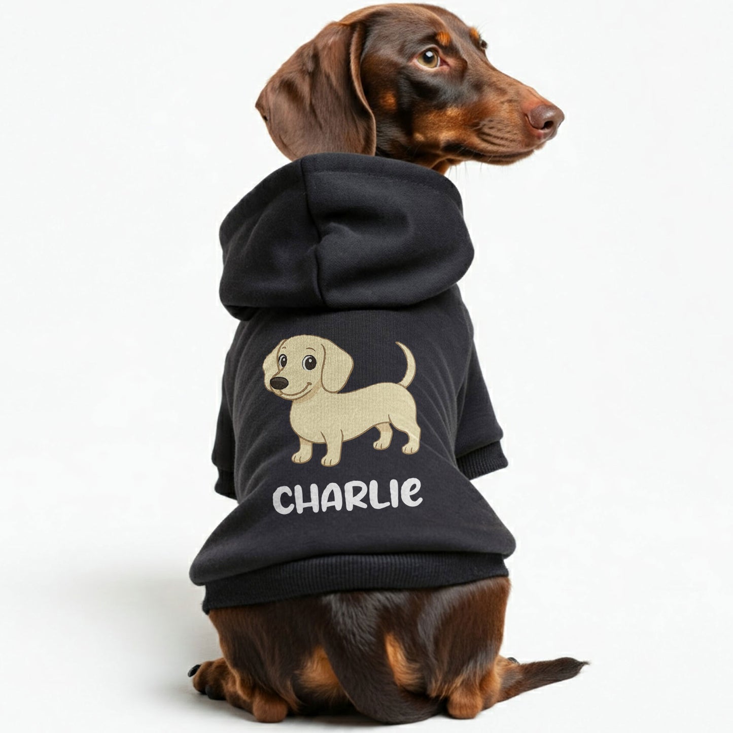 Charlie – Personalized Dachshund Hoodies with Your Doxie’s Name & Clipart – Stylish, Cozy & Made from Premium 100% Cotton