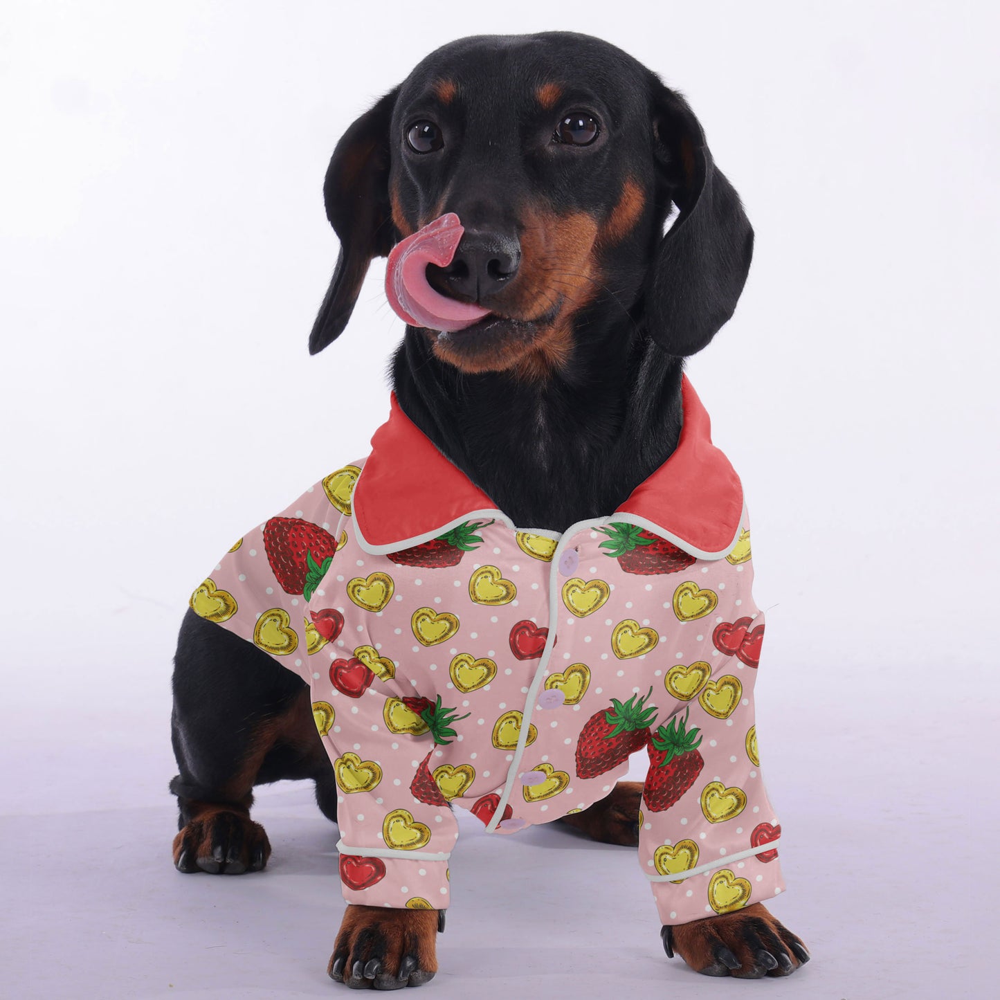 Richard -  Pajamas for Dachshund