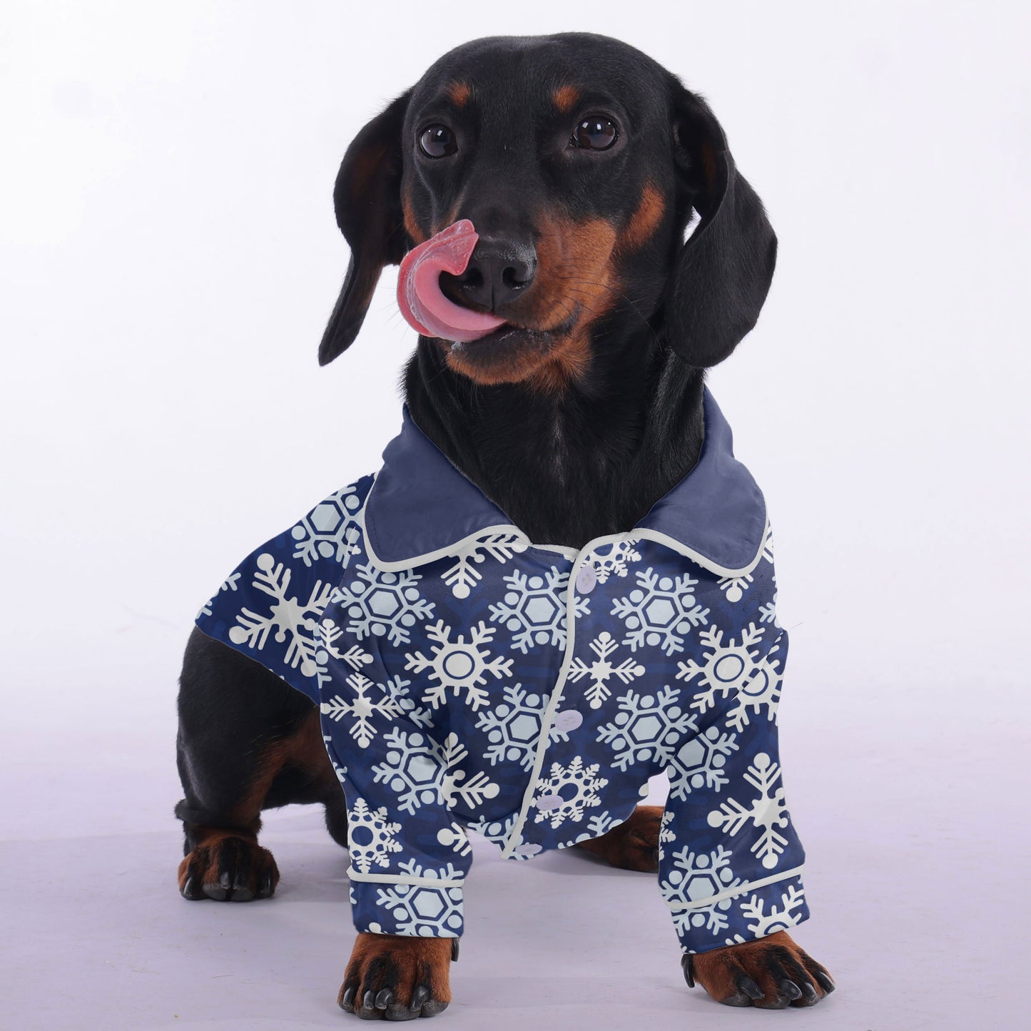 Katie -  Pajamas for Dachshund