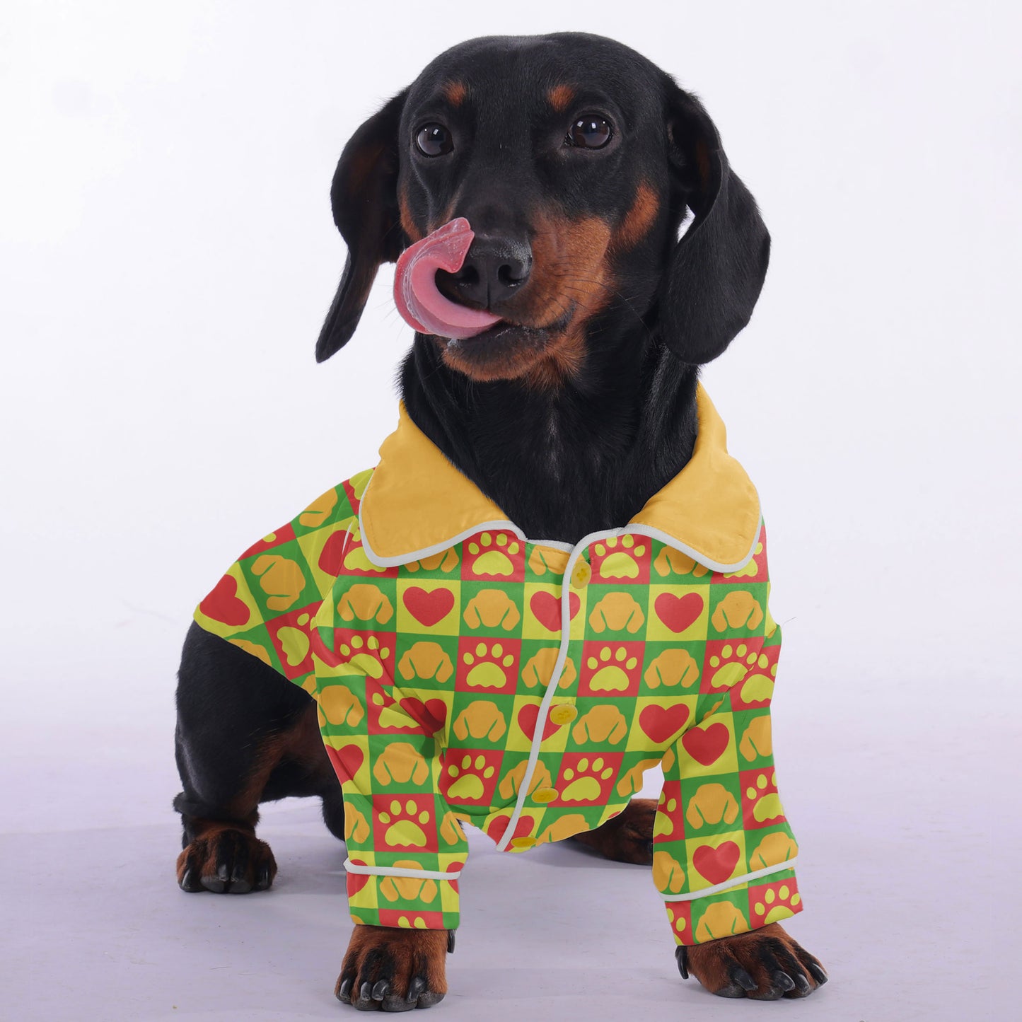 Katie - Pajamas for Dachshund