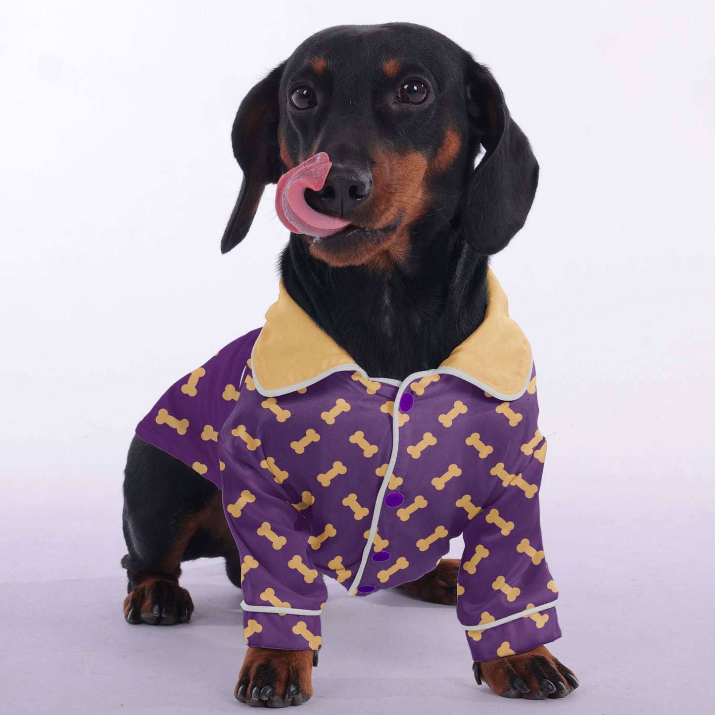 Thor -  Pajamas for Dachshund