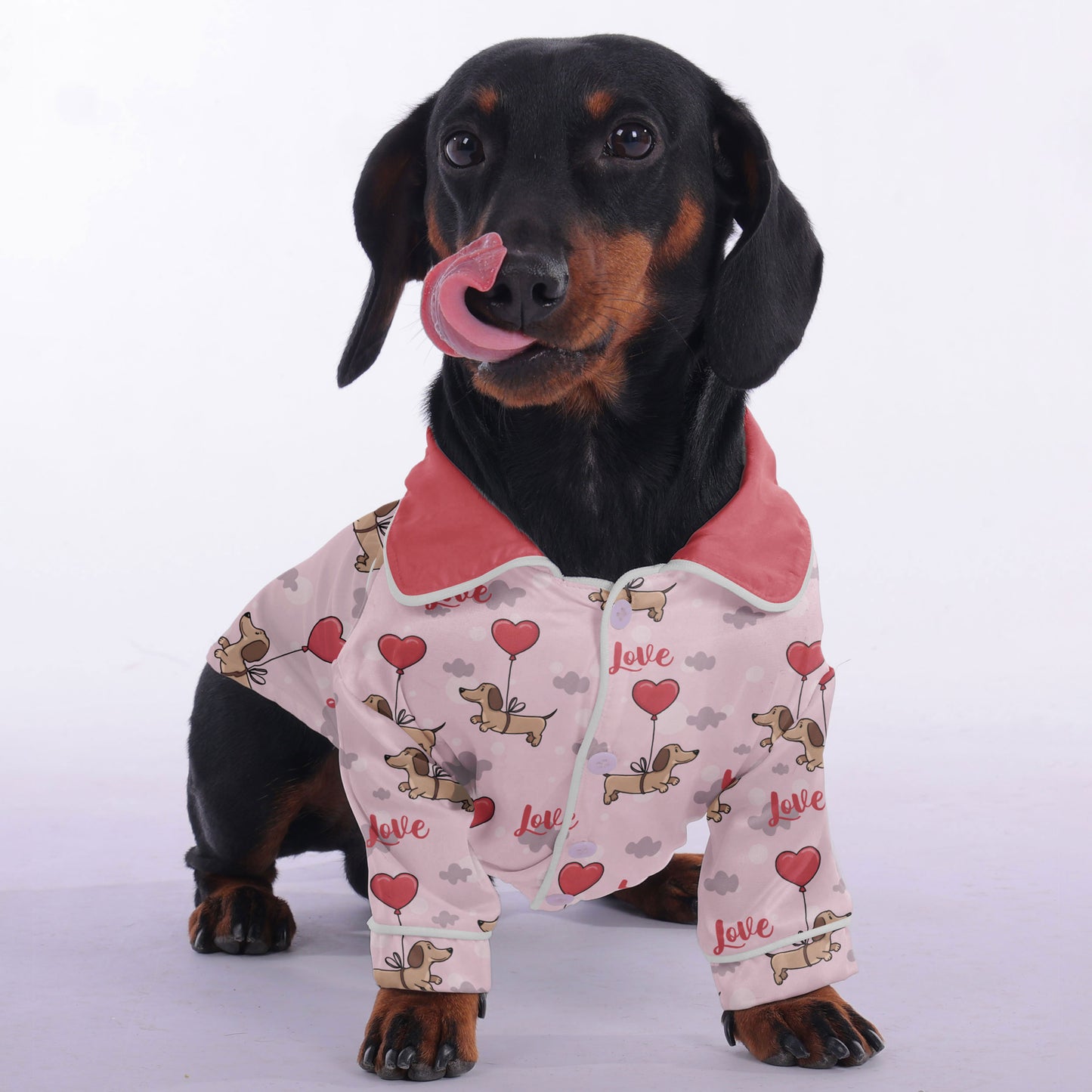 Pete -  Pajamas for Dachshund