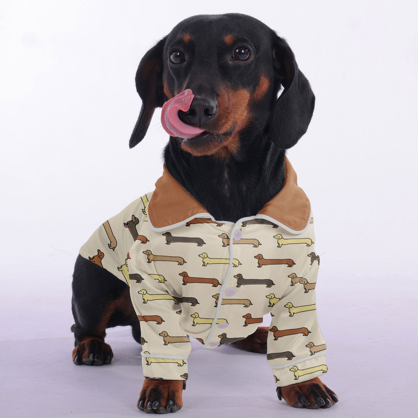 Carmen -  Pajamas for Dachshund