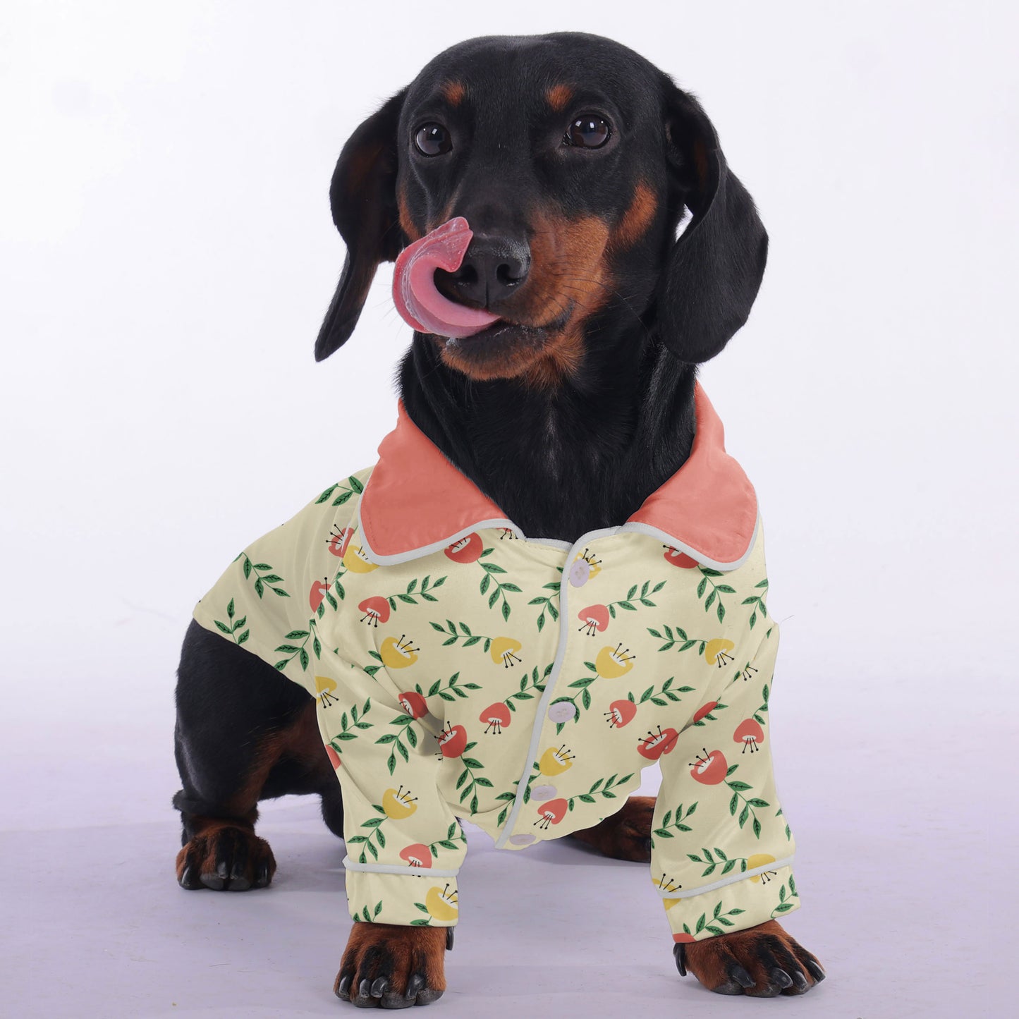 Poppy -  Pajamas for Dachshund