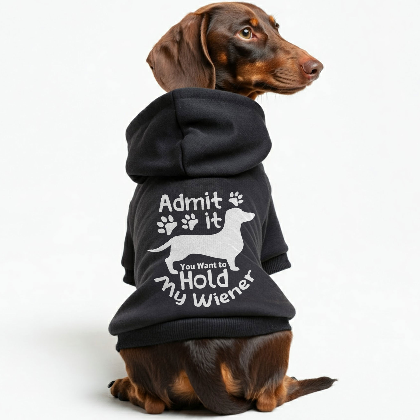 Ruby - Personalized Dachshund Hoodies with Funny Quotes – Stylish, Cozy, and Premium 100% Cotton