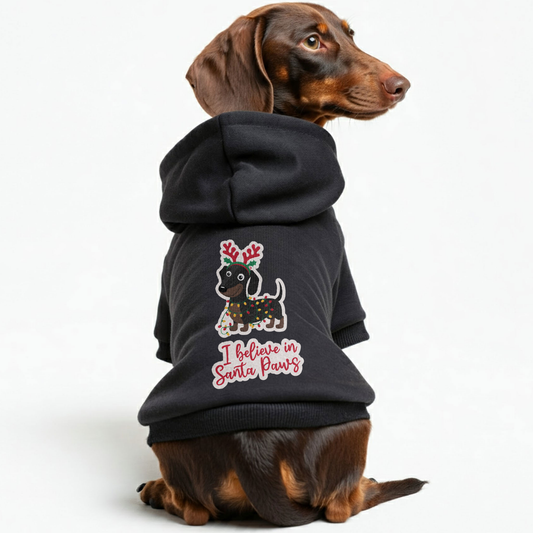 Ace - Personalized Dachshund Hoodies with Funny Quotes – Stylish, Cozy, and Premium 100% Cotton