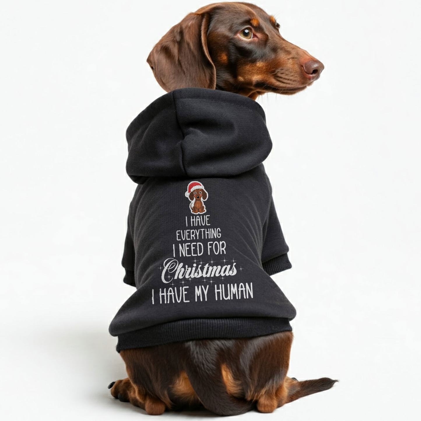 I have everything I need for Christmas. I have my human - Personalized Dachshund Hoodies with Funny Quotes – Stylish, Cozy, and Premium 100% Cotton