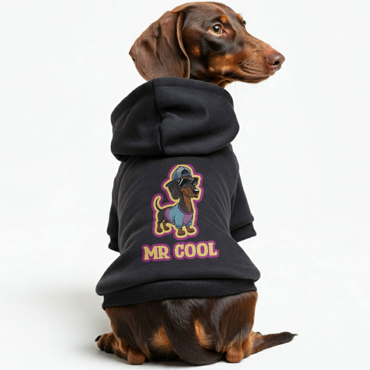 Mr COOL - Personalized Dachshund Hoodies with Funny Quotes – Stylish, Cozy, and Premium 100% Cotton