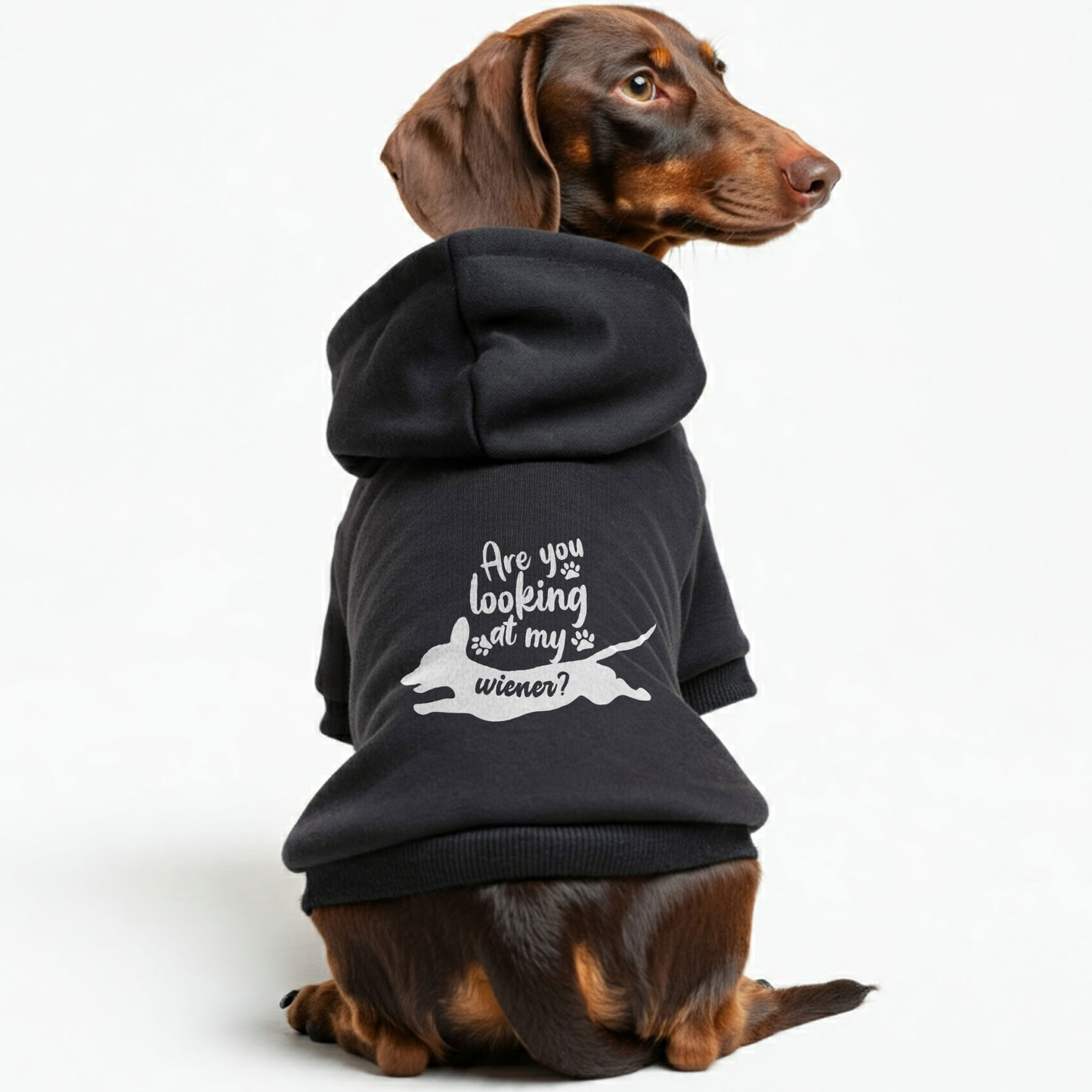 Are You Looking At My Wiener? - Personalized Dachshund Hoodies with Funny Quotes – Stylish, Cozy, and Premium 100% Cotton