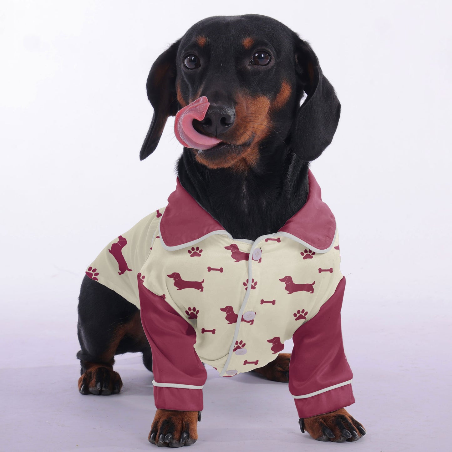 Winston -  Pajamas for Dachshund