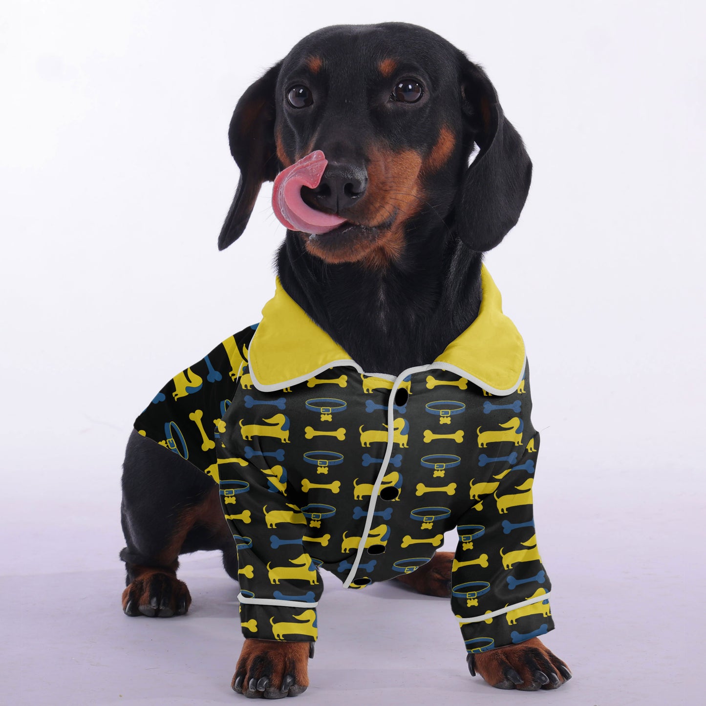 Moritz -  Pajamas for Dachshund