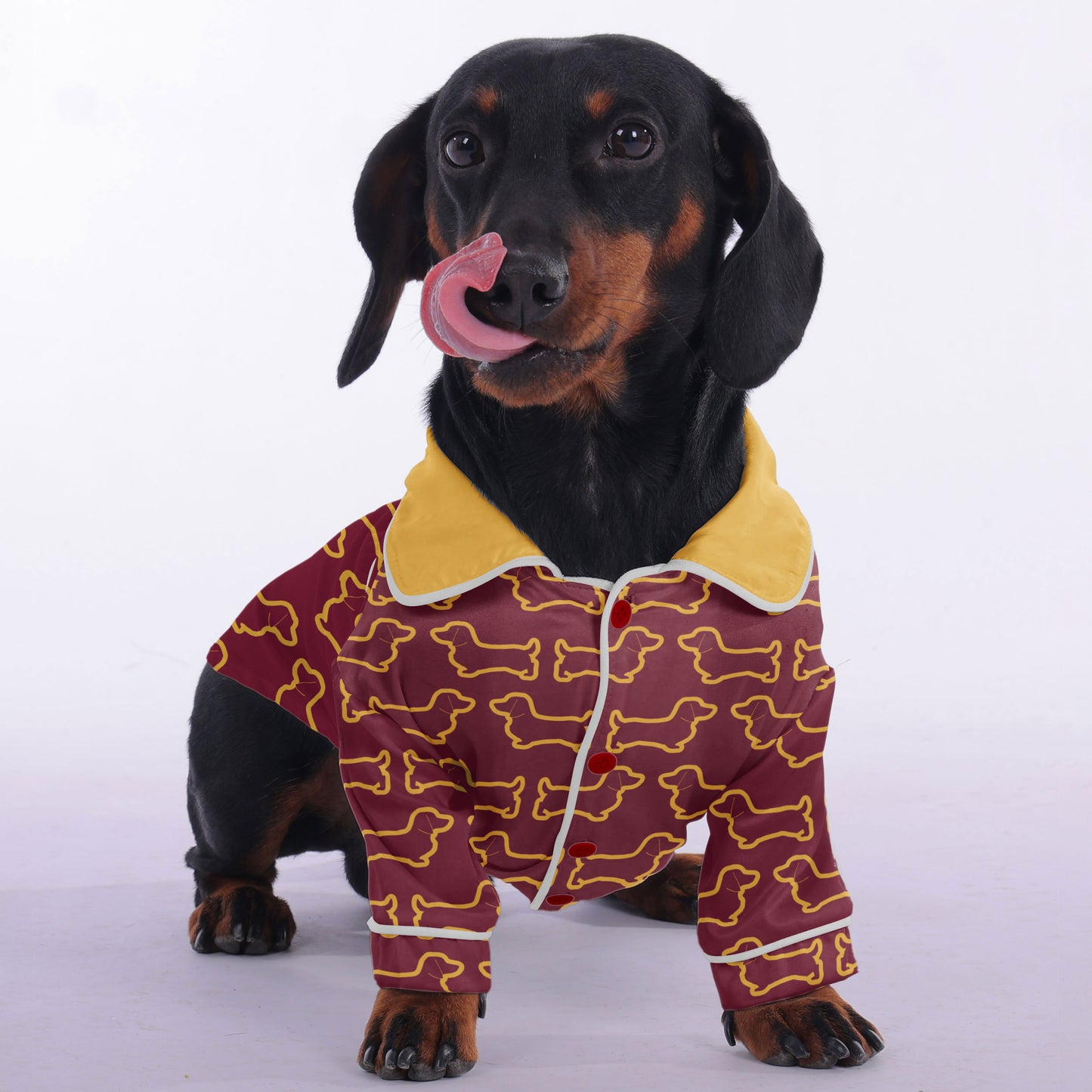 Adele -  Pajamas for Dachshund