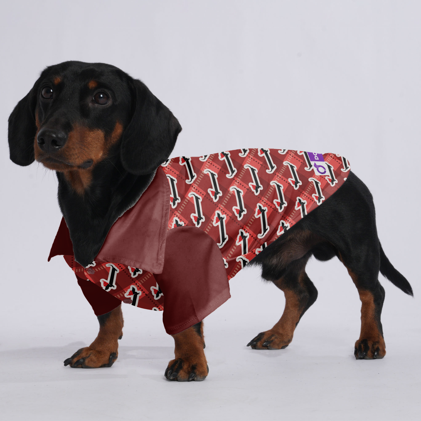 Sophie - Hawaiian Shirt for Doxies