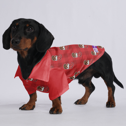 Daisy - Hawaiian Shirt for Doxies