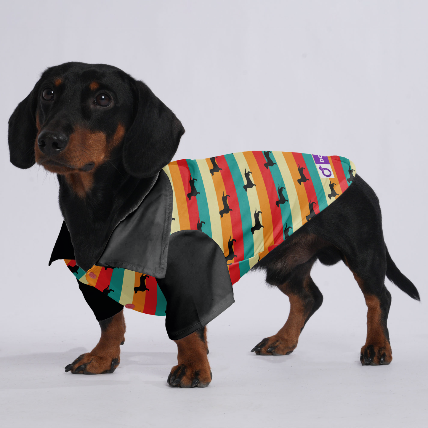 Simone- Hawaiian Shirt for Doxies