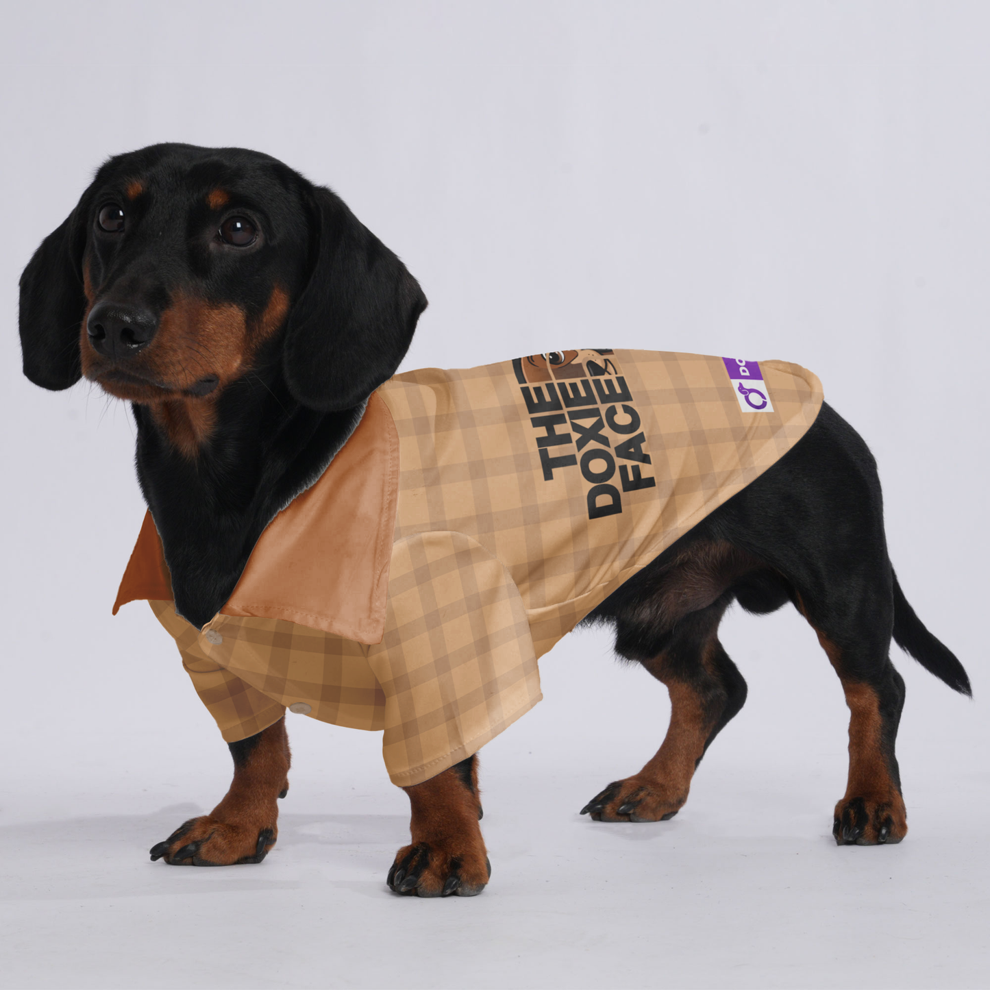 The doxie face - Hawaiian Shirt for Doxies