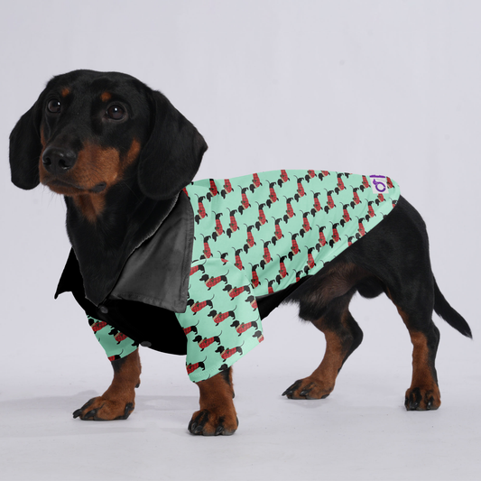 Bella - Hawaiian Shirt for Doxies