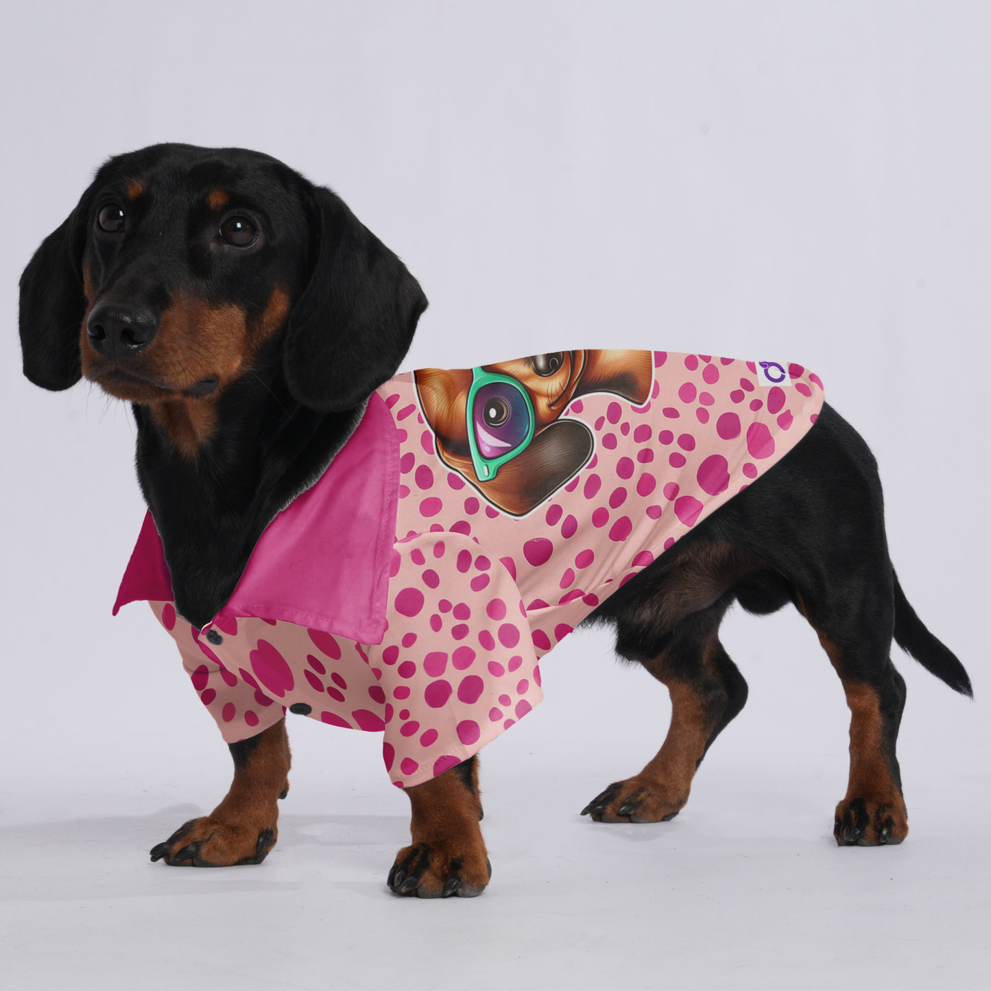 Rocky - Hawaiian Shirt for Doxies