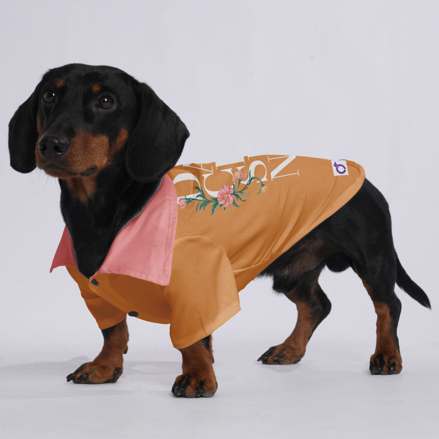 Teddy - Hawaiian Shirt for Doxies