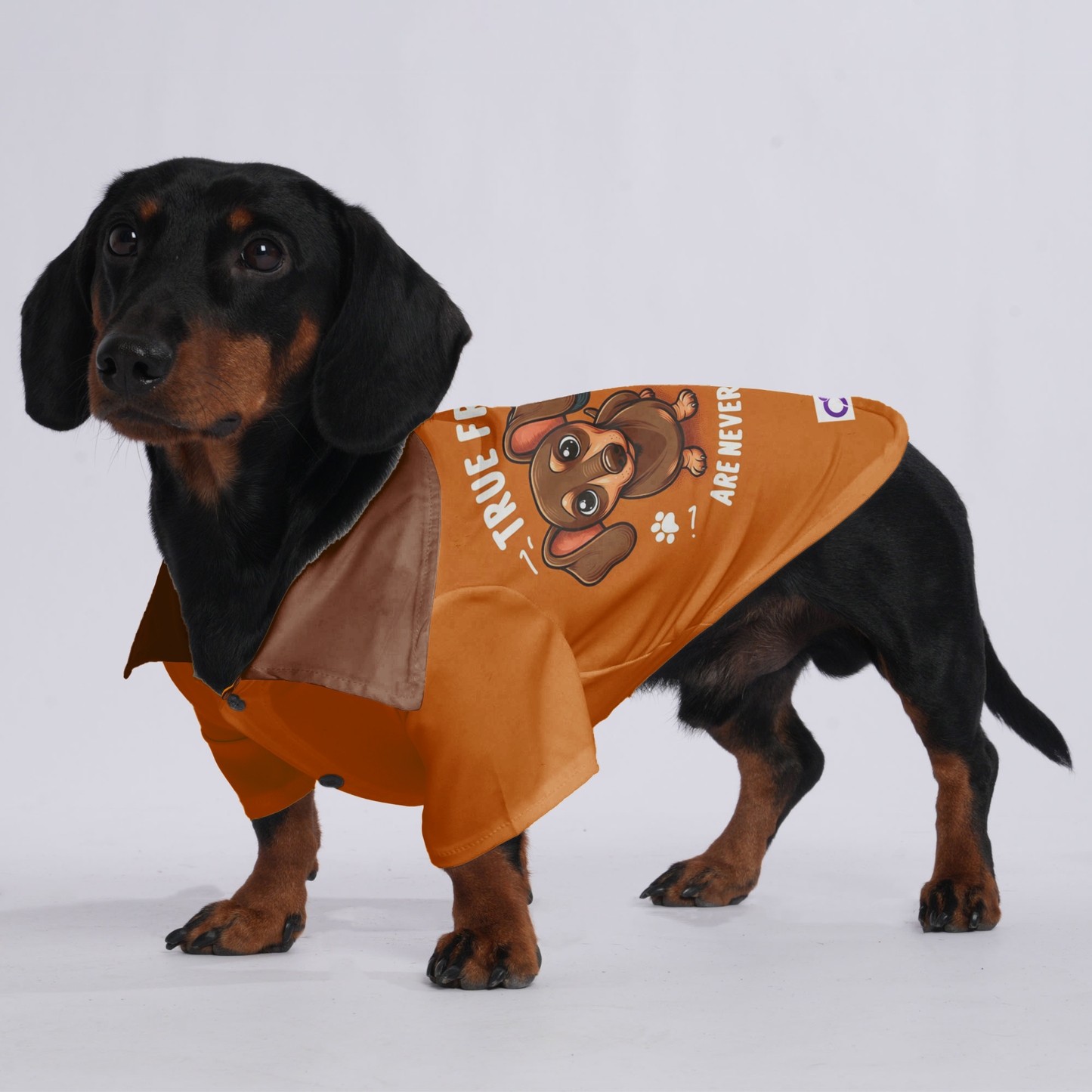 True Friends Are Never Far'T' Apart, - Hawaiian Shirt for Doxies