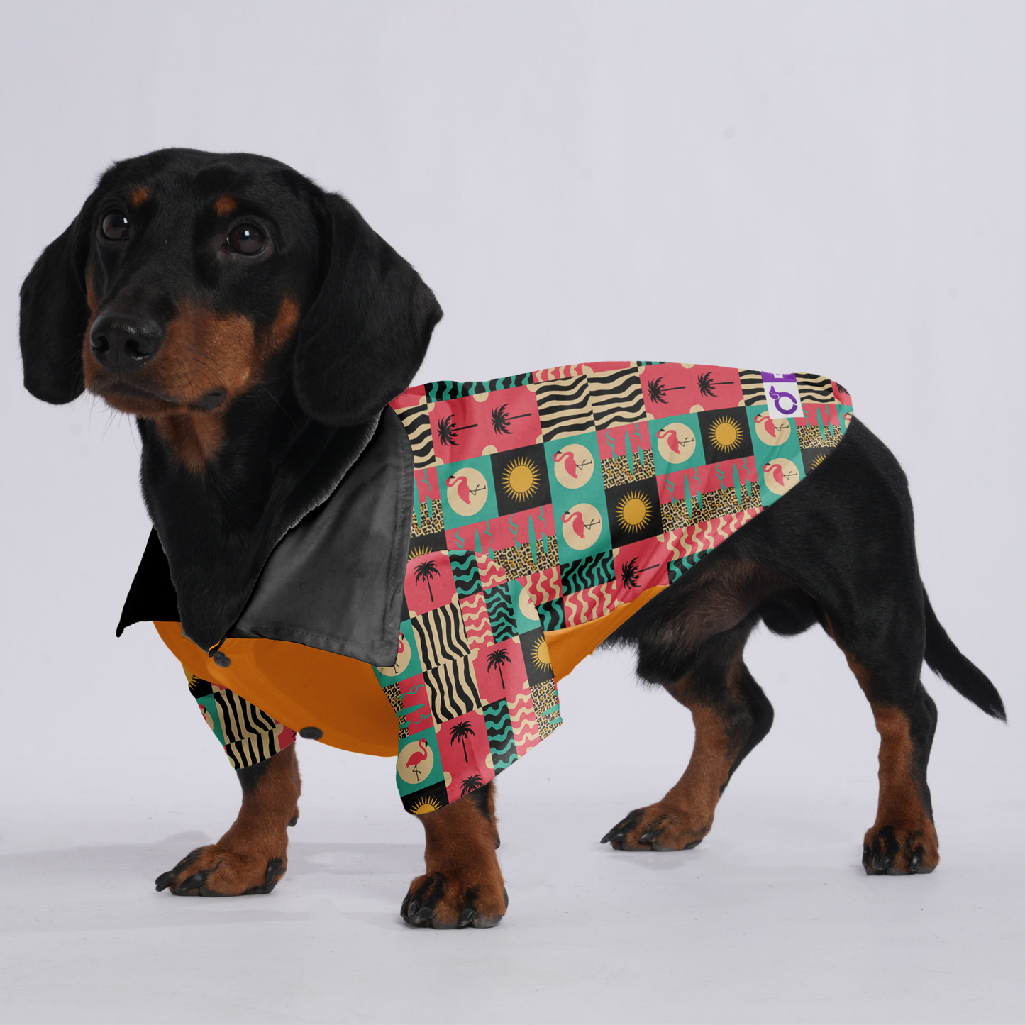 Toby - Hawaiian Shirt for Doxies