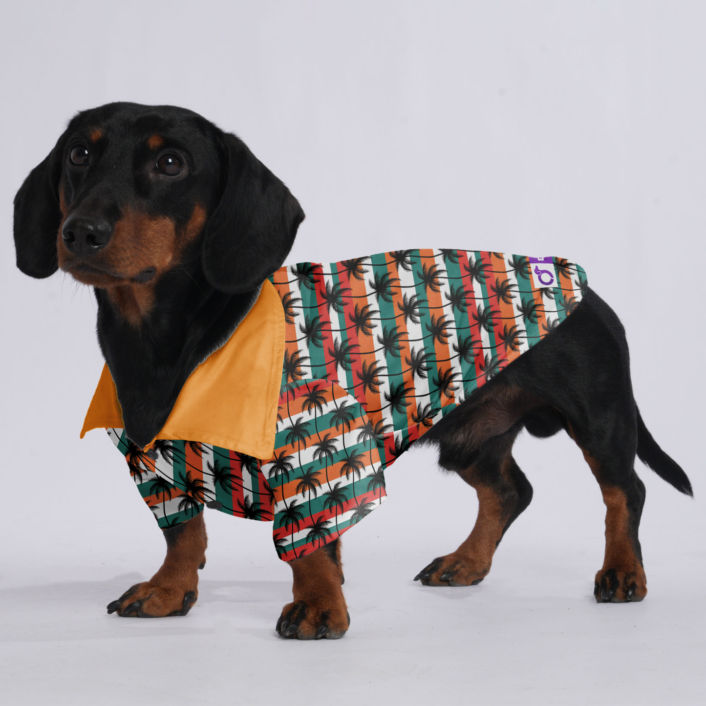 Bentley - Hawaiian Shirt for Doxies