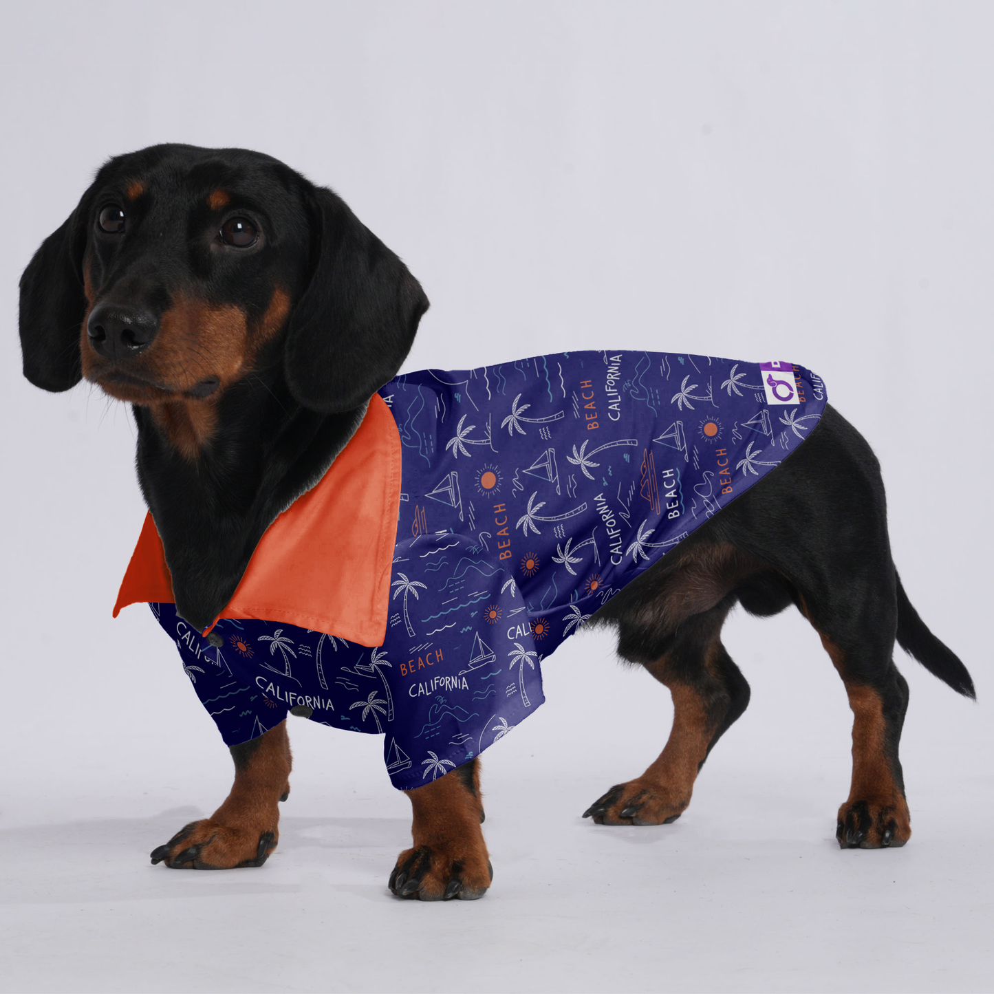 Stella - Hawaiian Shirt for Doxies