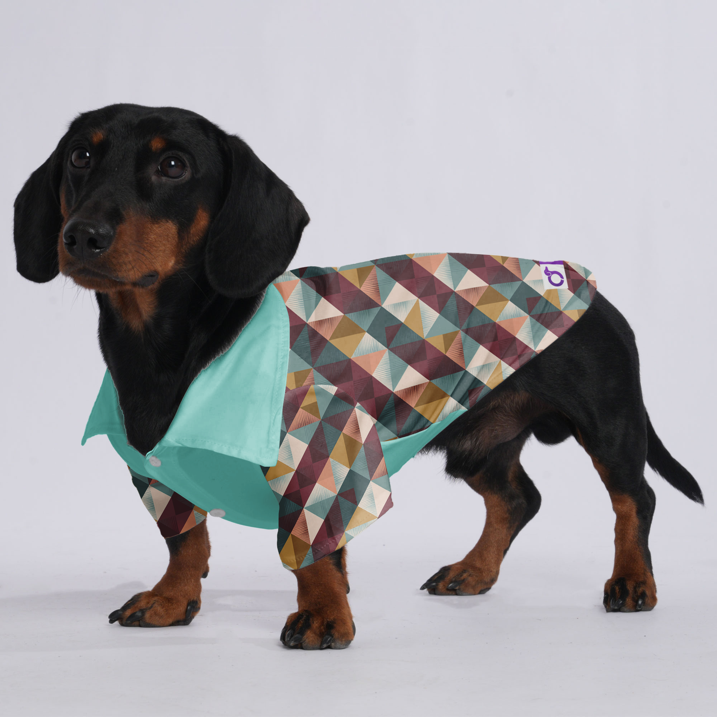 Mia - Hawaiian Shirt for Doxies