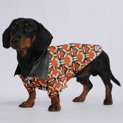 Cookie - Hawaiian Shirt for Doxies