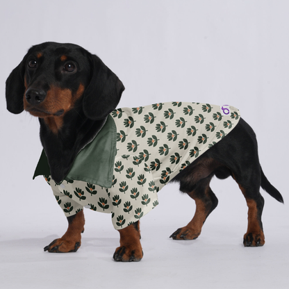 Penny - Hawaiian Shirt for Doxies