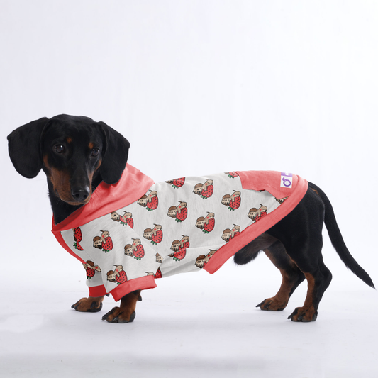 Paula - Hoodies for Dachshunds