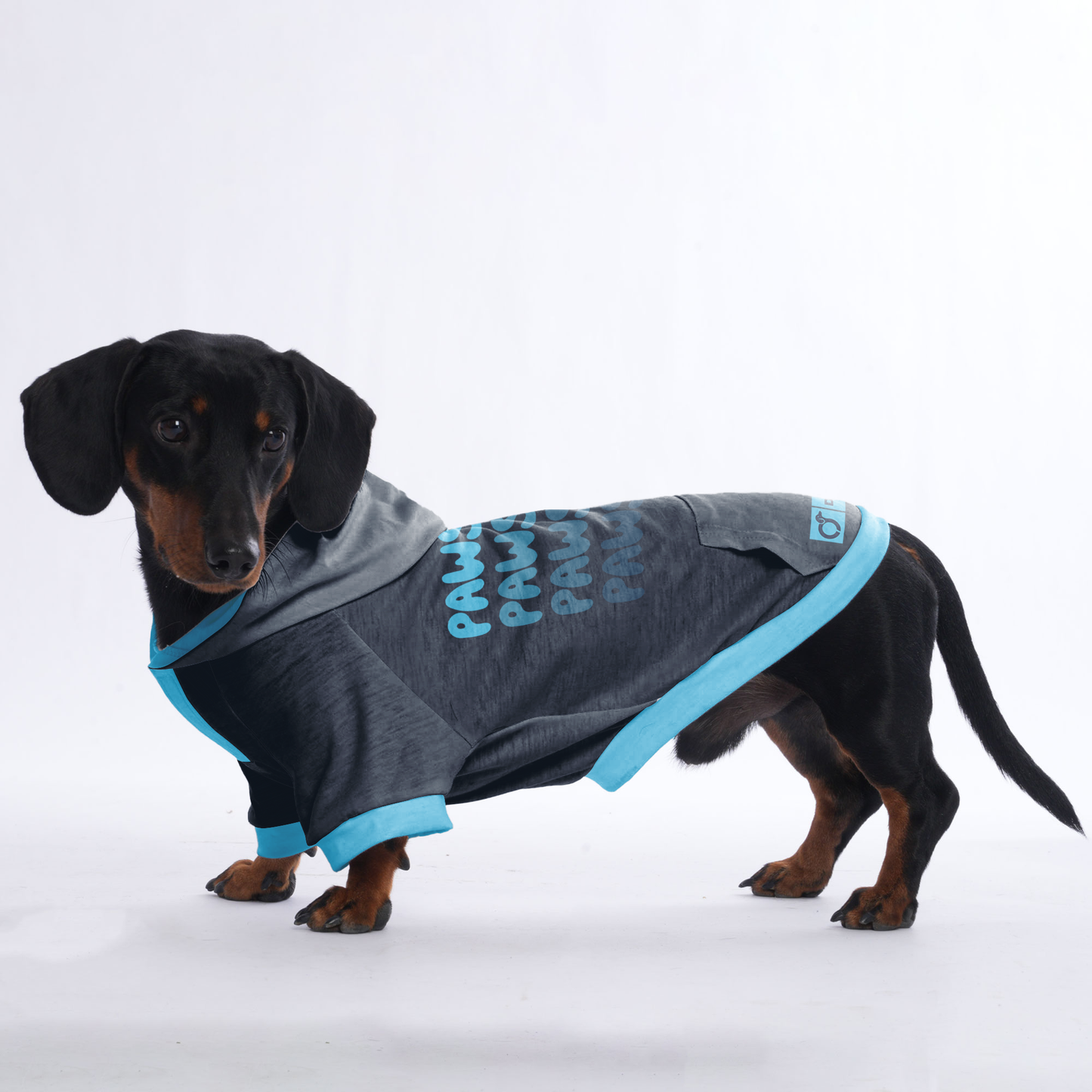 Pawsome - Hoodies for Dachshunds