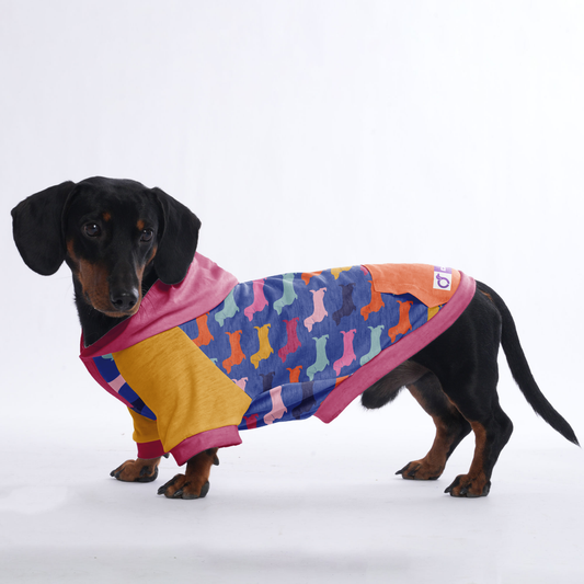 Inky - Hoodies for Dachshunds