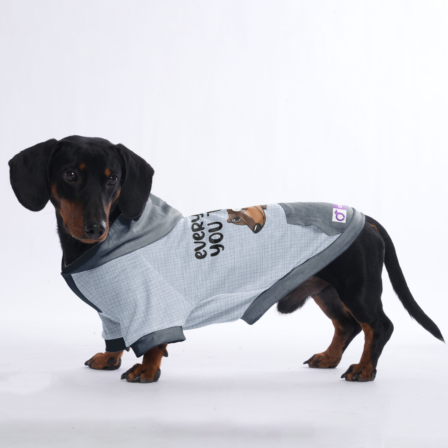 Every Bite you take - Hoodies for Dachshunds