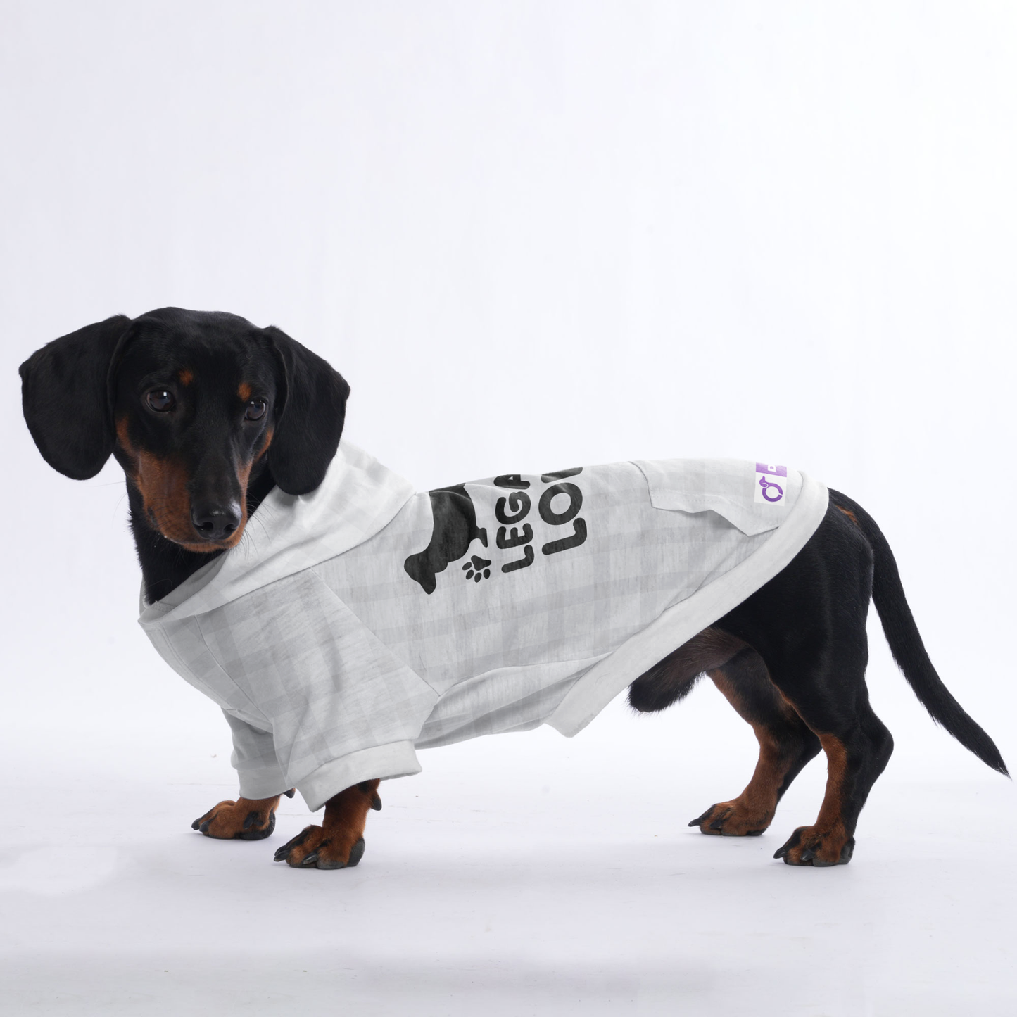 LEGALLY LONG  - Hoodies for Dachshunds